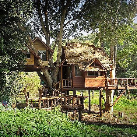 Rabeang Pasak Treehouse Resort 清邁 外观 照片