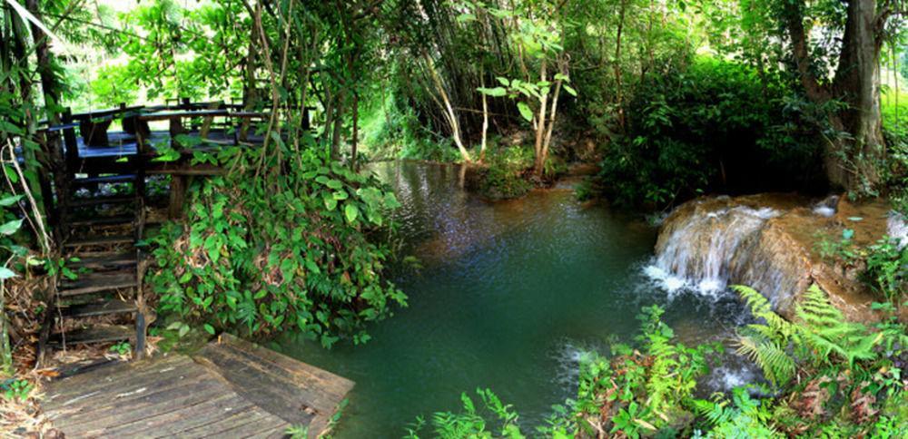 Rabeang Pasak Treehouse Resort 清邁 外观 照片