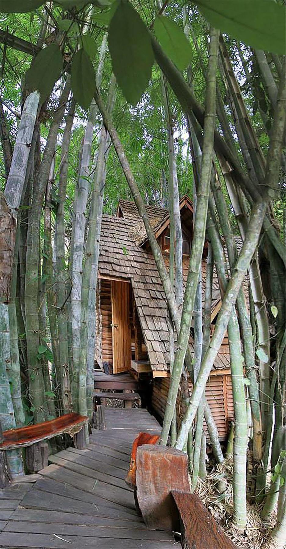 Rabeang Pasak Treehouse Resort 清邁 外观 照片